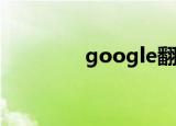 google翻译在线（goog）