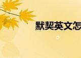 默契英文怎么说（默契英文）