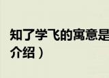 知了学飞的寓意是什么（关于知了学飞的寓意介绍）