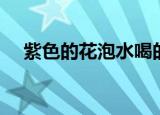 紫色的花泡水喝的是什么花（紫色的花）