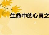 生命中的心灵之花（心灵之花哪里多）