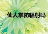 仙人掌防辐射吗（仙人掌能不能防辐射）