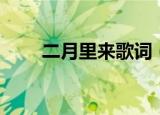 二月里来歌词（二月里来是什么歌）