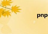 pnp问题（pn）