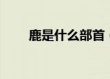 鹿是什么部首（鹿具体是什么部首）