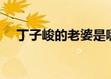 丁子峻的老婆是哪里人（丁子峻的老婆）