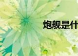 炮舰是什么（炮舰在哪）