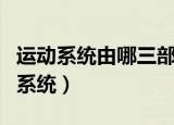 运动系统由哪三部分组成（哪三部分组成运动系统）