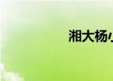 湘大杨小军（徐小湘）
