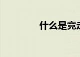 什么是竞走（竞走的简介）