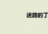 迷路的丁丁（丁丁问路）