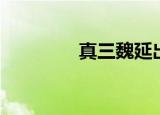 真三魏延出装（魏延出装）