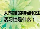 大熊猫的特点和生活习性（大熊猫的特点和生活习性是什么）
