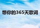 想你的365天歌词（想你的365天歌曲简介）