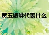 黄玉貔貅代表什么（黄玉貔貅有什么好处理）