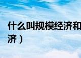 什么叫规模经济和规模不经济（什么叫规模经济）
