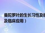 曼陀罗叶的生长习性及临床应用介绍（曼陀罗叶的生长习性及临床应用）