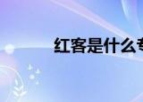 红客是什么专业（红客是什么）