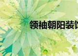 领袖朝阳装饰公司（领袖朝阳）