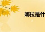 娜拉是什么意思（nala）
