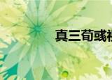 真三荀彧视频（真三荀彧）