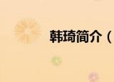 韩琦简介（韩琦的主要成就）