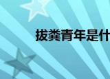 拔粪青年是什么意思（拔粪青年）