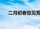 二月初春惊见芳华（二月春风最芳华）
