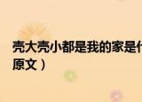 壳大壳小都是我的家是什么歌（壳大壳小都是我的家是歌词原文）