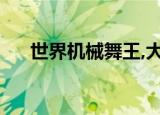 世界机械舞王,大鸿儒（世界机械舞王）