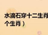 水滴石穿十二生肖打一个生肖（水滴石穿打一个生肖）