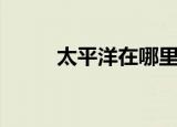 太平洋在哪里（太平洋位置简述）