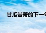 甘瓜苦蒂的下一句（大家一起来学习吧）