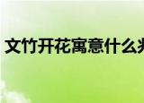 文竹开花寓意什么兆头（文竹开花寓意简述）