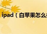 ipad（白苹果怎么办 ipad 白苹果处理方法）