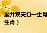坐井观天打一生肖是什么生肖（坐井观天打一生肖）
