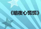 《暗夜心慌慌》（暗夜心慌慌第二部）