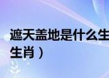 遮天盖地是什么生肖最准确（遮天盖地是什么生肖）