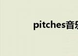 pitches音乐术语（pitches）