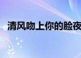 清风吻上你的脸夜未眠（清风吻上你的脸）