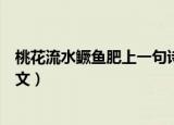 桃花流水鳜鱼肥上一句诗是什么（桃花流水鳜鱼肥原诗及译文）