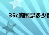 36c胸围是多少图解（36c胸围是多少）