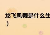 龙飞凤舞是什么生肖啊（龙飞凤舞打一个生肖）
