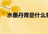 水墨丹青是什么意思（什么是水墨丹青）