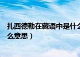 扎西德勒在藏语中是什么意思（扎西德勒在藏语中具体是什么意思）