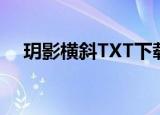 玥影横斜TXT下载（玥影横斜全文阅读）