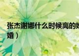 张杰谢娜什么时候离的婚是真的吗（张杰谢娜什么时候离的婚）