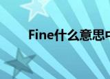Fine什么意思中文（Fine怎么造句）