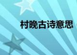 村晚古诗意思（大家可以理解一下）