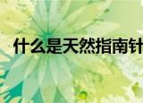 什么是天然指南针（天然的指南针有哪些）